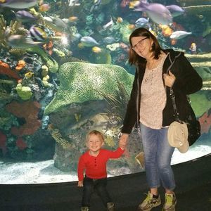 Meet your Posher, Donna